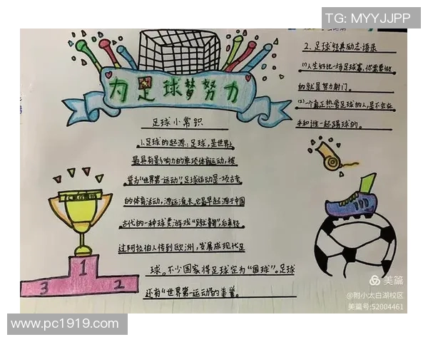 足球赛人数的变化对比赛策略和观众体验的影响分析